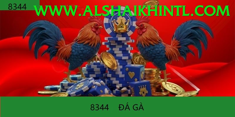 Đá Gà Trực Tiếp - Trải nghiệm tuyệt vời